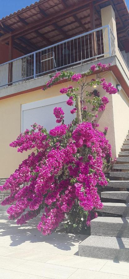 Apartment With Heated Pool, Villa Regina Pula Ngoại thất bức ảnh